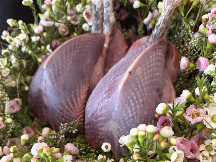 grouse presented